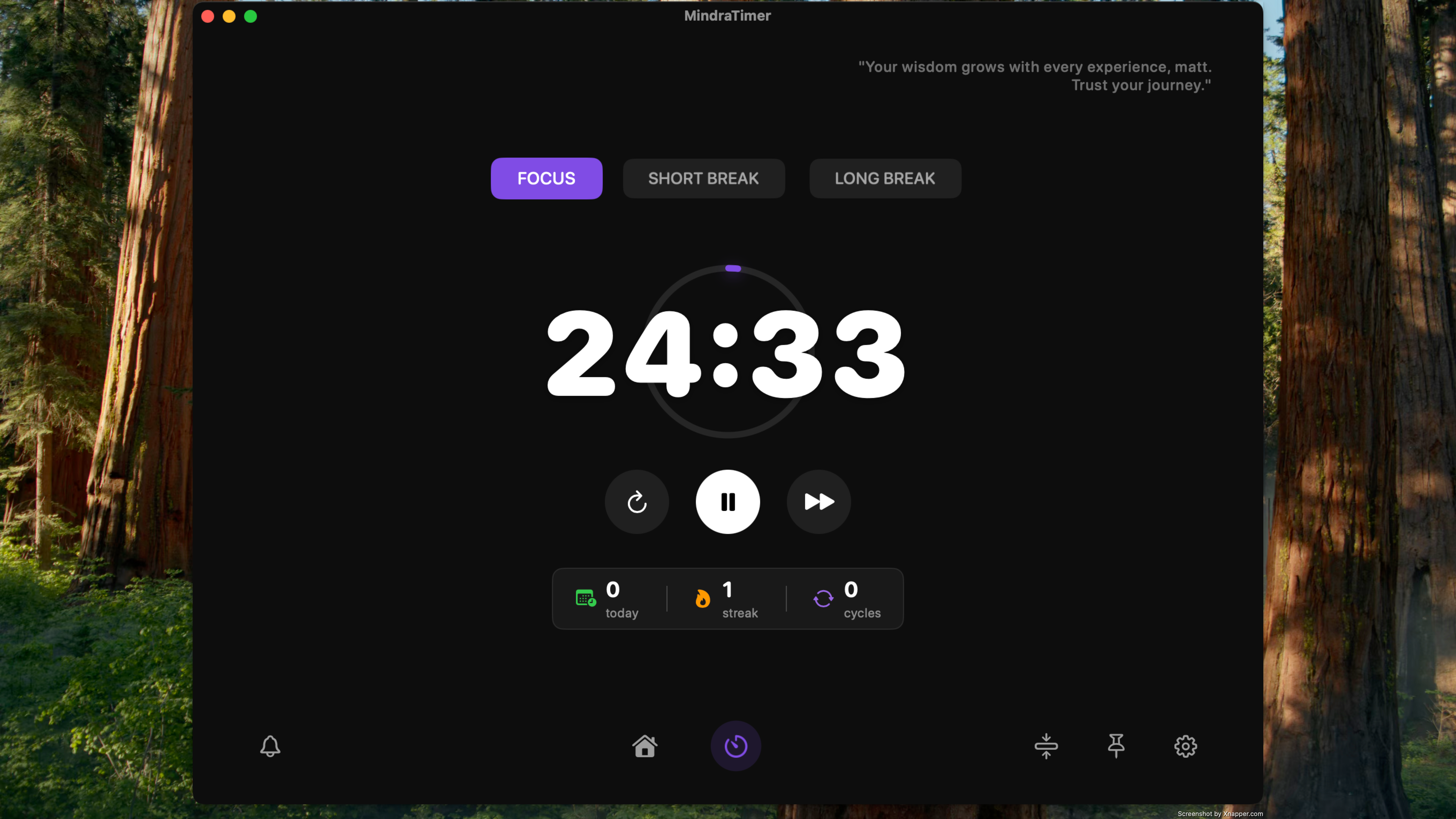 Focus session in progress